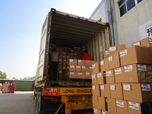 Cargo Transportation and Documentation: