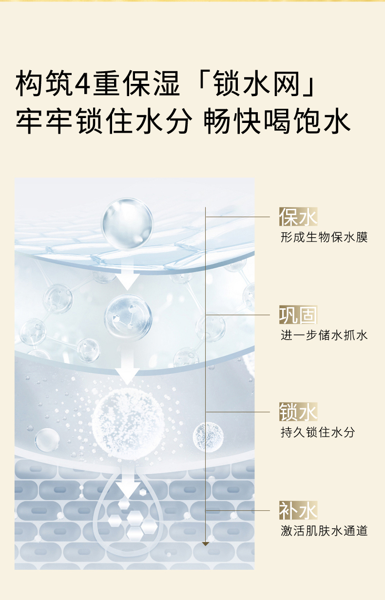 稻糠油多元保湿嘭嘭乳液